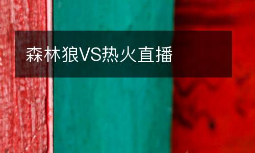 森林狼VS熱火直播